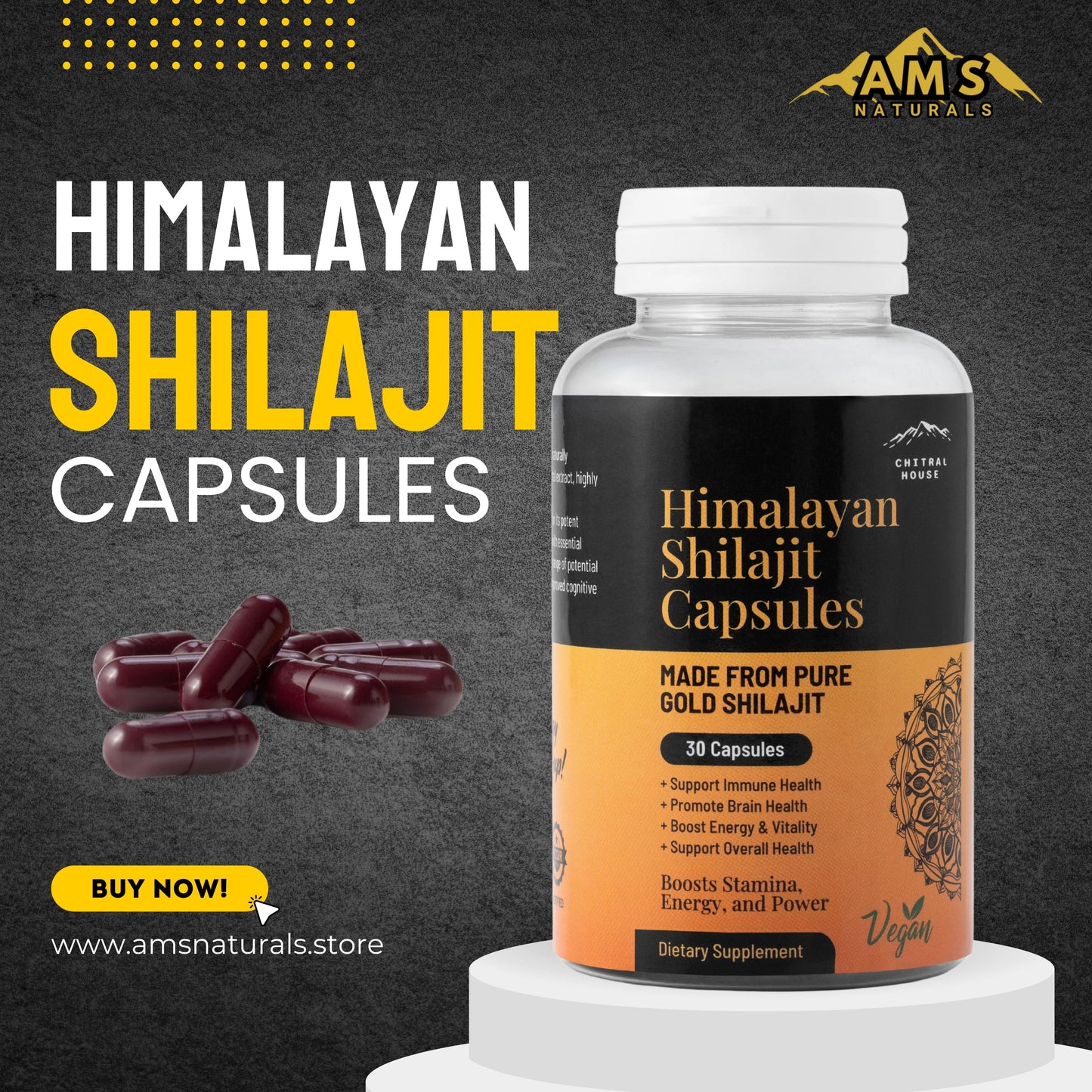 Shilajit Capsules – Pure Himalayan Energy in Every Dose