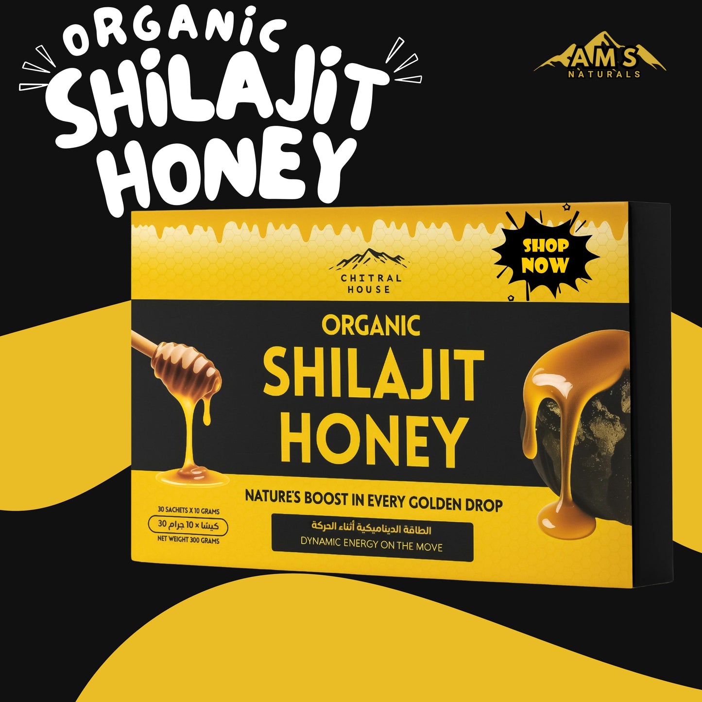 Honey Shilajit 30 Sachet Pack – Pure Himalayan Salajeet with Natural Honey